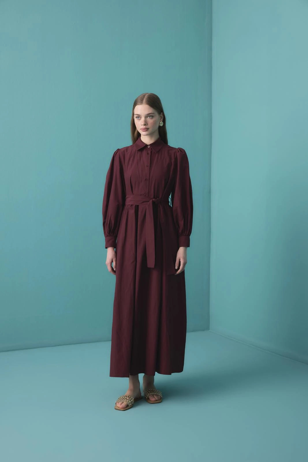 Balloon Sleeve Maxi Dress