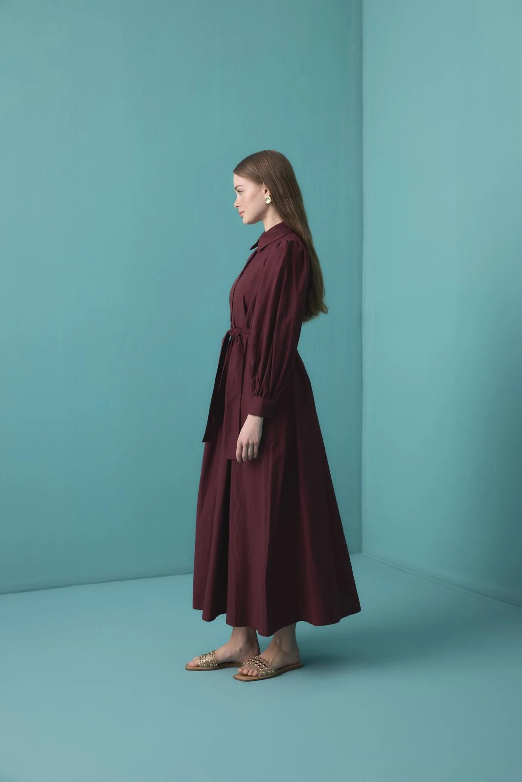 Balloon Sleeve Maxi Dress